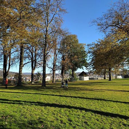 Panoramahaus Sauerland Apartman Arnsberg Kültér fotó