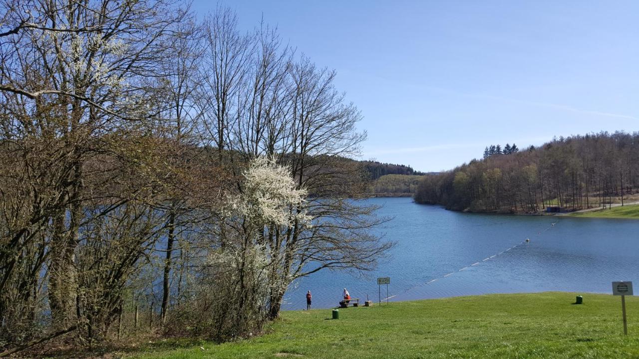 Panoramahaus Sauerland Apartman Arnsberg Kültér fotó
