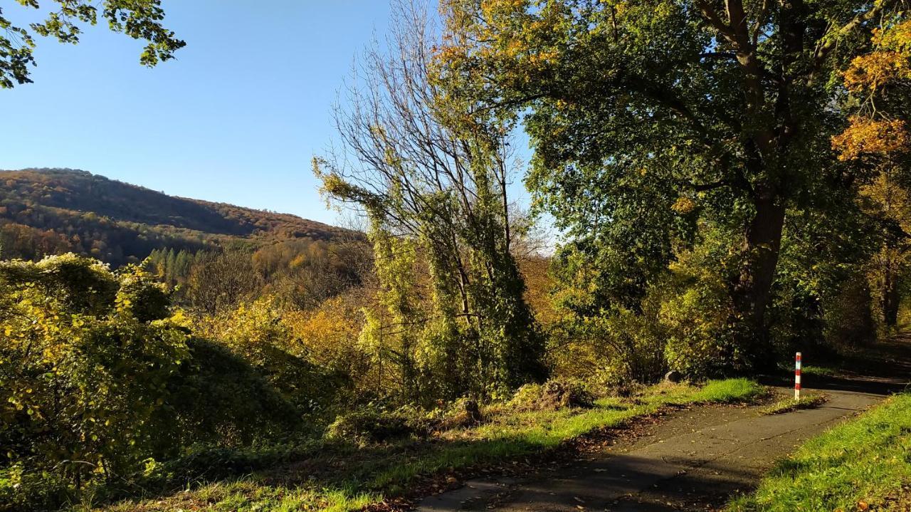 Panoramahaus Sauerland Apartman Arnsberg Kültér fotó