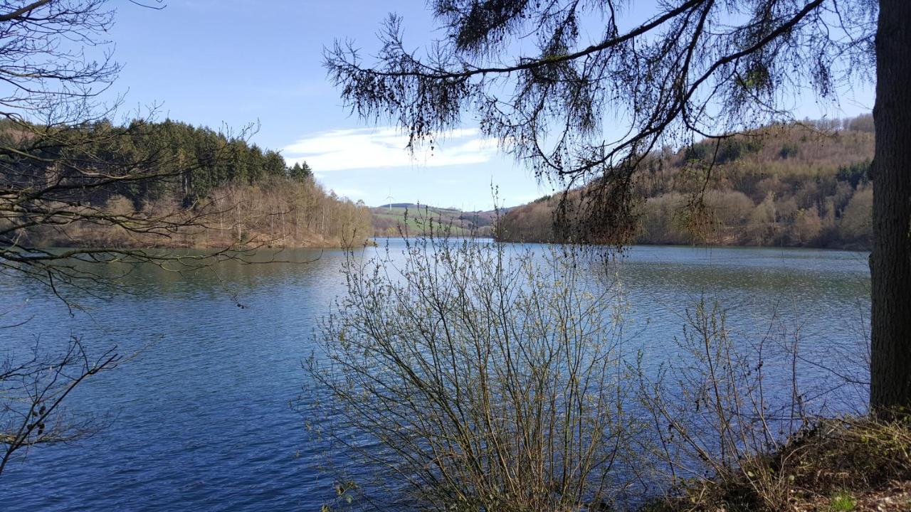 Panoramahaus Sauerland Apartman Arnsberg Kültér fotó